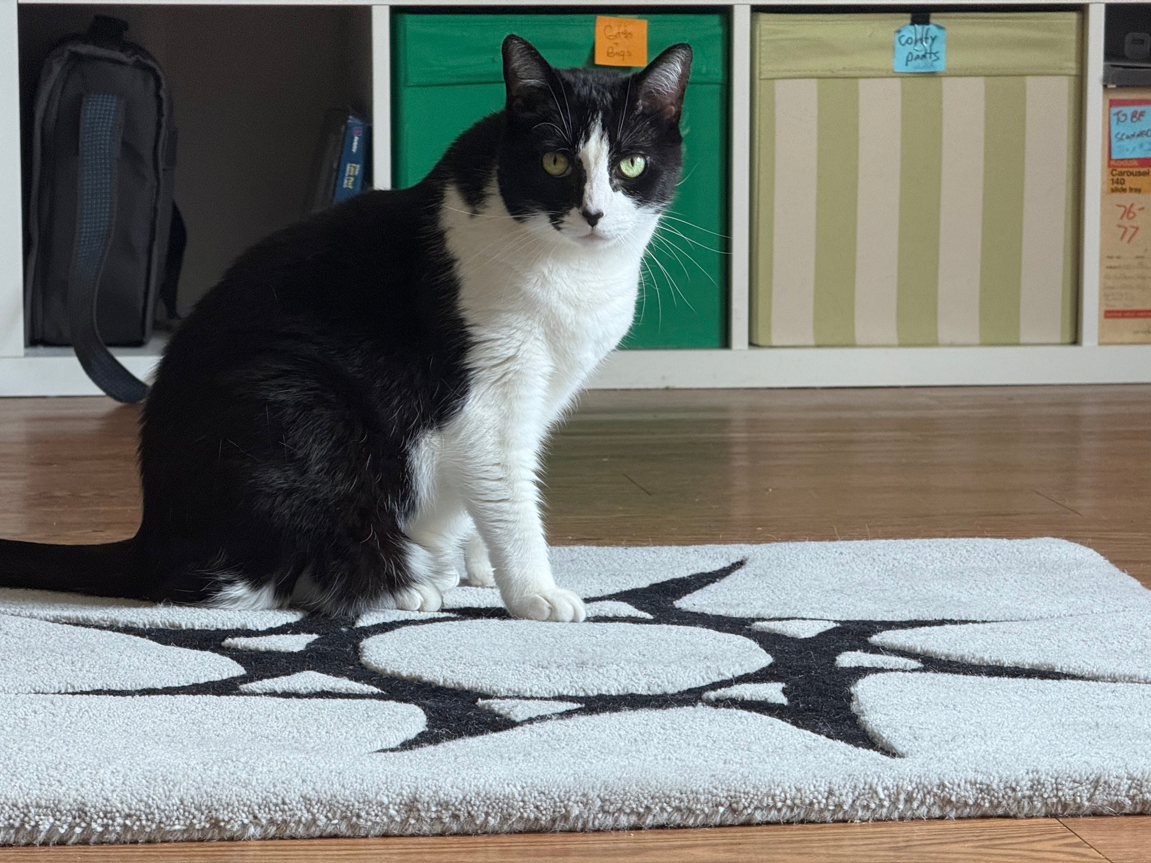 Why we use pre ordering for our rugs (for now)