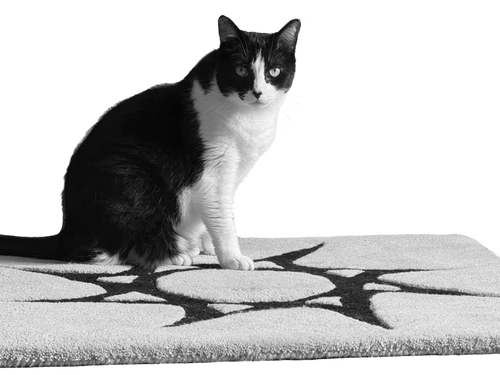 THE RUG